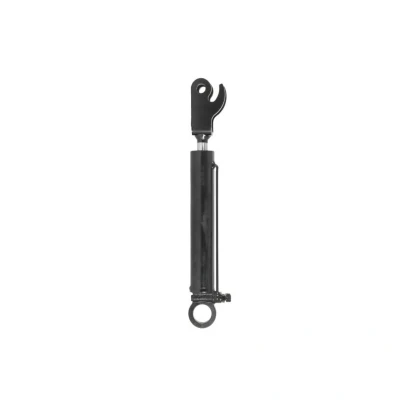 Kuva FEBI BILSTEIN 40333 Kippaussylinteri, ohjaamo