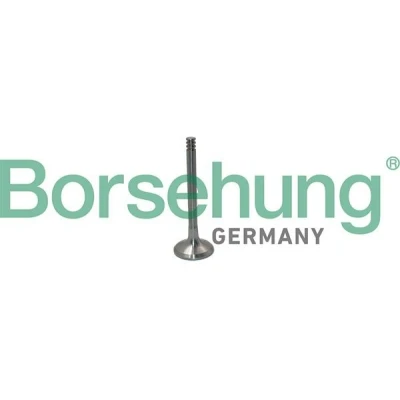 Kuva Borsehung B19012 Pakoventtiili VOLKSWAGEN: Transporter 5, Golf 4 Variant, Bora Sedan, AUDI: A4 B6 A6 C5 B5 Sedan