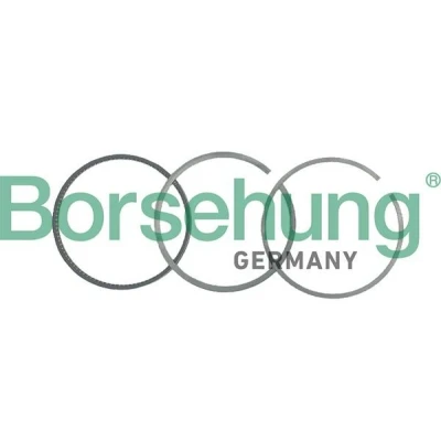 Kuva Borsehung B19036 Männänrenkaat VOLKSWAGEN: GOLF 2, Jetta 1 Cabriolet, AUDI: 100 C4 Sedan