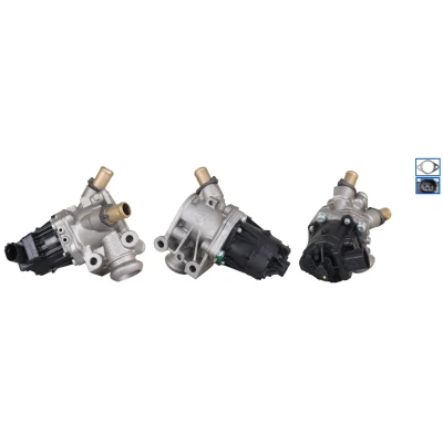 Kuva ELSTOCK 73 0406 EGR Venttiili Sähköinen ilman pakokaasukierr. jäähdytintä Korkeapainepuoli FIAT: Ducato III Flatbed Kuorma auto / Alusta