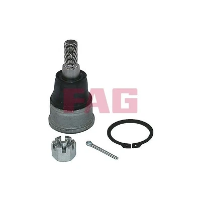 Kuva FAG 825 0424 10 Alapallonivel 18mm HONDA: CR V 2