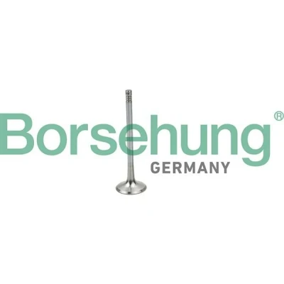 Kuva Borsehung B19025 Imuventtiili AUDI: A4 B7 Sedan, B5 TT Coupe, VOLKSWAGEN: Bora Sedan