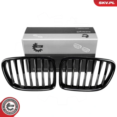 Kuva Jäähdyttimen säleikkö Esen skv 66SKV230 bmw x1 [e84] OE 51112993305, 51112993306, 51112993307