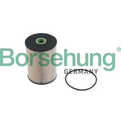 Kuva Borsehung B12214 Polttoainesuodatin Suodatinpanos VOLKSWAGEN: GOLF 5, 6, SKODA: Octavia 2 Combi, II Hatchback, AUDI: A3 Hatchback
