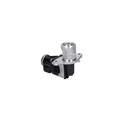 Kuva Venttiili, pakokaasun kierrätys alfa romeo, fiat, lancia, opel, vauxhall OE 55207921, 55216292, 55252380