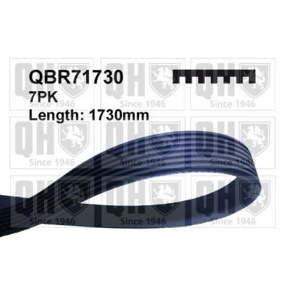 Kuva QUINTON HAZELL QBR71730 Moniurahihna 1730 7 HONDA: CR V 2, KIA: SORENTO 1, HYUNDAI: H 1 Cargo