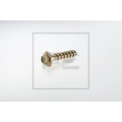 Kuva PETERS ENNEPETAL 065.103 00A Ruuvi