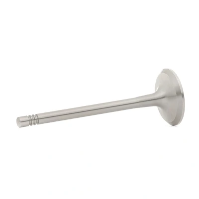 Kuva Pakoventtiili AUDI, SEAT, SKODA, VW OE 06B109611B, 06B109611C, 6B109611B