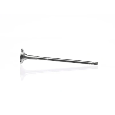 Kuva Pakoventtiili, Poistopuoli ALFA ROMEO, FIAT, LANCIA OE 55205183, 55207955, 55220016