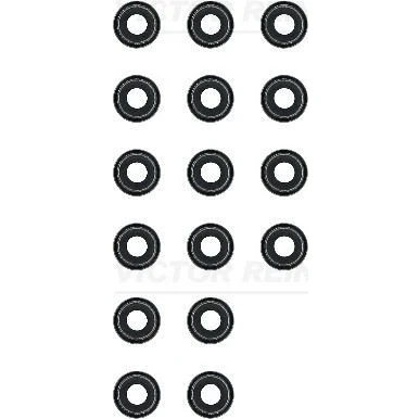 Kuva REINZ 12 52772 03 Venttiilinvarren Kumit NISSAN: Almera 2 Limousine, Primera Hatchback, Tino