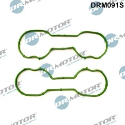 Kuva DR.MOTOR AUTOMOTIVE DRM091S Tiivistesarja, Imusarja FORD: Focus 2 Kombi, Mk1 Hatchback, Farmari
