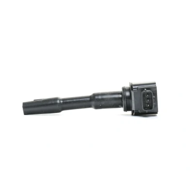 Kuva DELPHI GN10798 12B1 Sytytyspuola 3 12 RENAULT: MEGANE 4, Grandtour, Kadjar, DACIA: Lodgy, Duster SUV