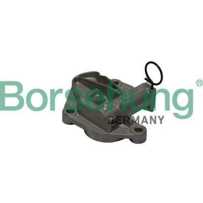 Kuva Borsehung B1T003 Jakoketjun Kiristin VOLKSWAGEN: Polo V Hatchback