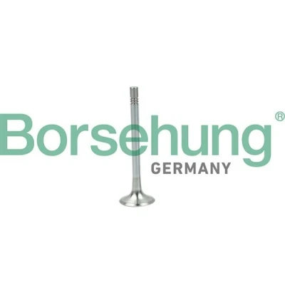 Kuva Borsehung B19004 Pakoventtiili VOLKSWAGEN: Transporter 5, Passat B6 Variant, Sharan II, SKODA: Octavia II Hatchback, AUDI: A3 Hatchback