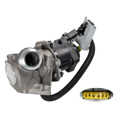 Kuva FEBI BILSTEIN 109636 EGR Venttiili FORD: Focus 2 Kombi, 2, C Max