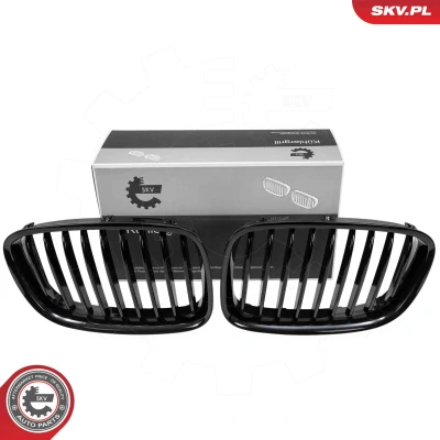 Kuva Jäähdyttimen säleikkö Esen skv 66SKV176 bmw 5 gran turismo [f07] OE 51137200169, 51137336486, 51137340317
