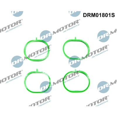 Kuva DR.MOTOR AUTOMOTIVE DRM01801S Tiivistesarja, Imusarja