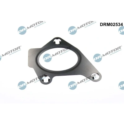 Kuva Tiiviste, imusarja Dr.Motor Automotive DRM02534