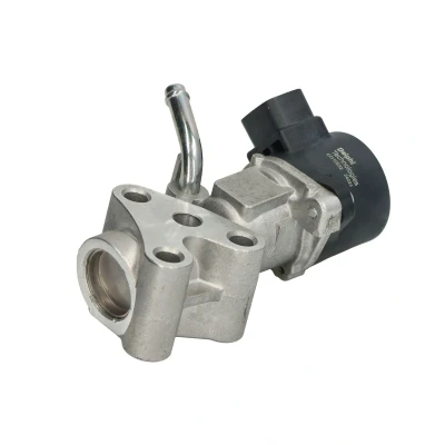 Kuva DELPHI EG10532 12B1 EGR Venttiili Sähköinen
