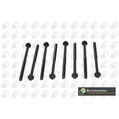 Kuva Sylinterikannen pulttisarja CHRYSLER, JEEP, MERCEDES BENZ OE 0039902522(x8)