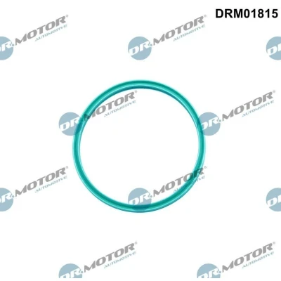 Kuva DR.MOTOR AUTOMOTIVE DRM01815 Tiivisterengas, ahtoilmaletku VOLKSWAGEN: Caddy 3, Transporter 5, Multivan 5 (7HM, SEAT: Leon I Hatchback