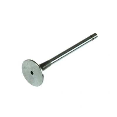 Kuva Pakoventtiili DT Spare Parts 4.62631