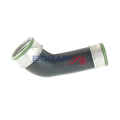 Kuva BOGAP A1711283 Ahdinletku