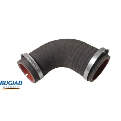 Kuva BUGIAD 82470 Ahdinletku Kuorilla