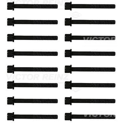 Kuva REINZ 14 32104 02 Kannen Pultit Torx, sisä OPEL: Omega B Sedan, Vectra C CC, Farmari, SAAB: 9 5 9000 Hatchback
