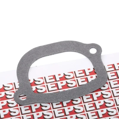 Kuva EPS 1.890.505 Termostaatin Tiiviste Made in Italy OE Equivalent FIAT: Punto II Hatchback