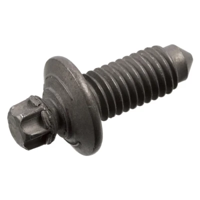 Kuva FEBI BILSTEIN 101007 Ruuvi Torx, ulko VOLKSWAGEN: Golf 6, 5, 4, SKODA: Octavia II Hatchback, Yeti, 3 Combi, AUDI: A3 Sedan