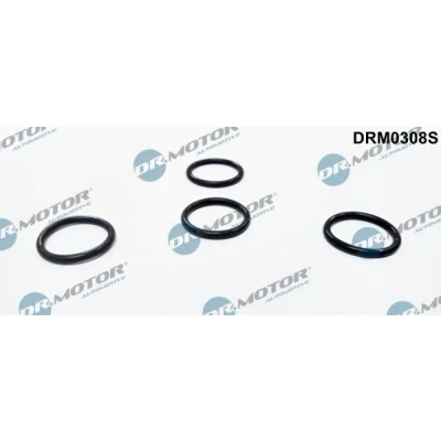 Kuva DR.MOTOR AUTOMOTIVE DRM0308S Tiivistesarja, Ruiskutussuutin