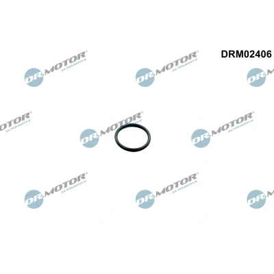 Kuva DR.MOTOR AUTOMOTIVE DRM02406 Tiivisterengas