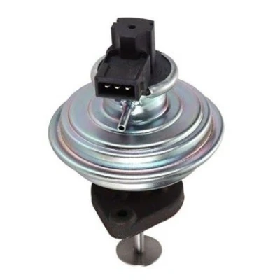 Kuva MAGNETI MARELLI 571822112088 EGR Venttiili BMW: 3 Touring, 5 X3