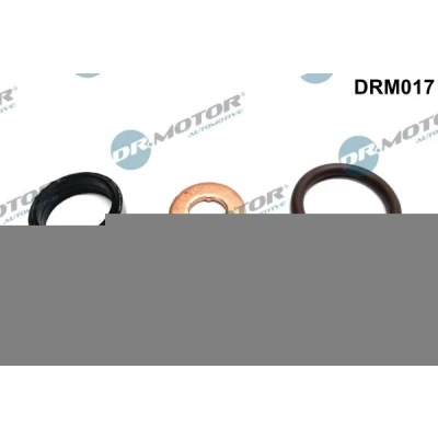 Kuva DR.MOTOR AUTOMOTIVE DRM017 Tiivistesarja, Ruiskutussuutin