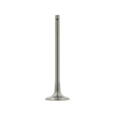 Kuva FEBI BILSTEIN 26031 Imuventtiili 31,27 CITROËN: C4 I Hatchback, PEUGEOT: 307 Hatchback