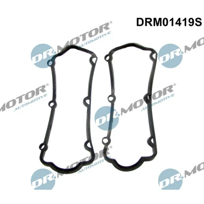 Kuva DR.MOTOR AUTOMOTIVE DRM01419S Tiivistesarja, Vent. Koppa AUDI: A4 B5 Avant, A8 D2, 100 C4 Sedan