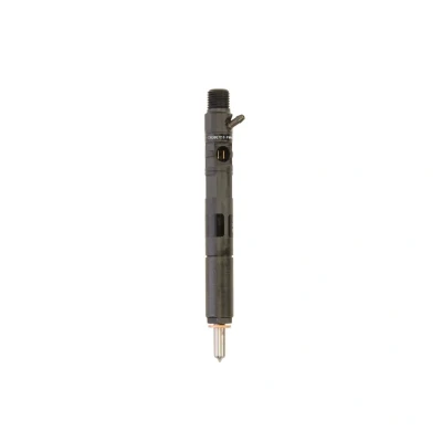 Kuva DELPHI R02201Z Suuttimen Pidike FORD: Galaxy Mk2 MPV