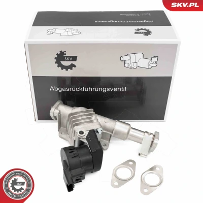 Kuva EGR venttiili ESEN SKV 14SKV287