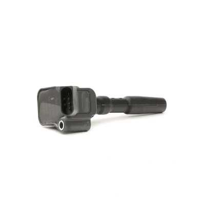 Kuva BERU ZSE126 Sytytyspuola 12 Kontaktfeder, Spring Elektroniikalla VOLKSWAGEN: Golf 7 Variant, Polo V Hatchback, Passat B8 Variant