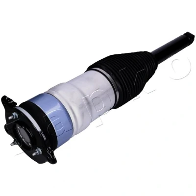 Kuva Dunlop Airsuspension 71231 Ilmajousitus Taakse, vasen, oikea TESLA: Model S