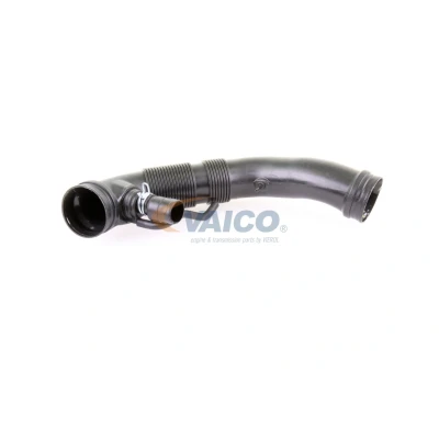 Kuva VAICO V10 3209 Imuputki, Ilmansuodatin Oikea Original Quality VOLKSWAGEN: Golf Plus / Crossgolf, 5, Caddy 3, SEAT: Toledo Altea