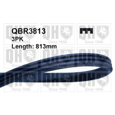 Kuva QUINTON HAZELL QBR3813 Moniurahihna 813 3 FORD: Sierra Mk2 Sedan, Hatchback, SUZUKI: SWIFT 2