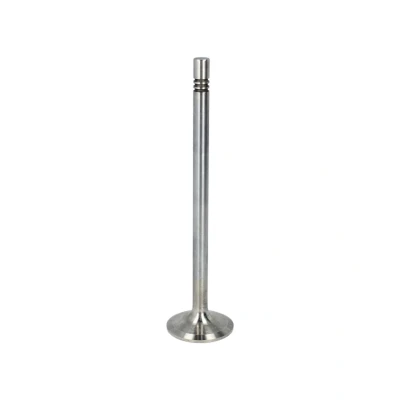 Kuva Imuventtiili FRECCIA R6576/BMCR