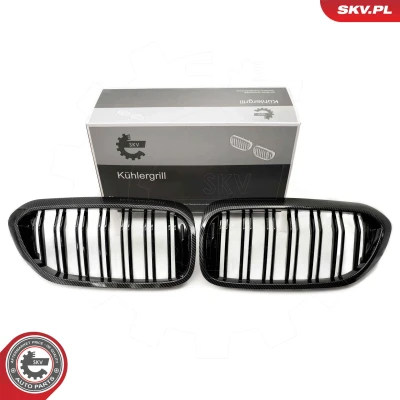 Kuva ESEN SKV 66SKV197 Etusäleikkö Hiili BMW: 5 Sedan