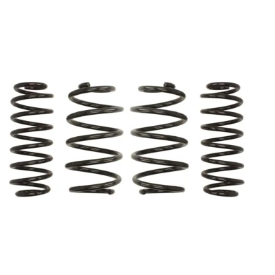 Kuva EIBACH Pro Kit E10 79 006 09 22 Madallusjouset