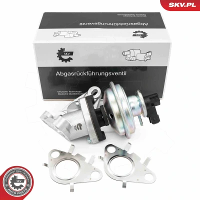Kuva EGR venttiili ESEN SKV 14SKV285