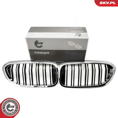 Kuva ESEN SKV 66SKV196 Etusäleikkö Kromi/musta BMW: 5 Sedan