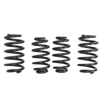 Kuva EIBACH Pro Kit E10 81 011 04 22 Madallusjouset SEAT: Exeo ST