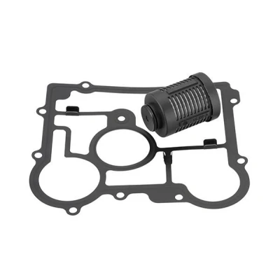 Kuva BorgWarner DS2006273 Hydrauliikkasuodatin, Haldex kytkin VOLKSWAGEN: Tiguan I, Passat B8 Alltrack, Transporter 5, SKODA: Superb II Farmari, Yeti